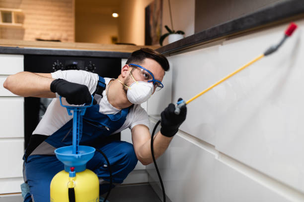 Trusted Jordan, NY Pest Control Experts