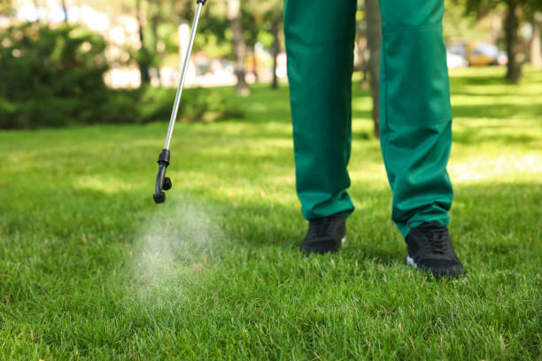 Best Cockroach Control Services  in Jordan, NY