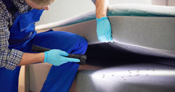 Best Local Pest Control Services  in Jordan, NY