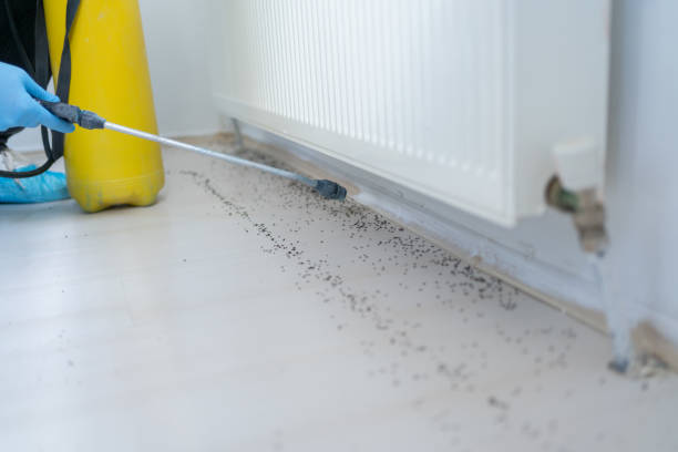 Best Best Pest Control Companies  in Jordan, NY